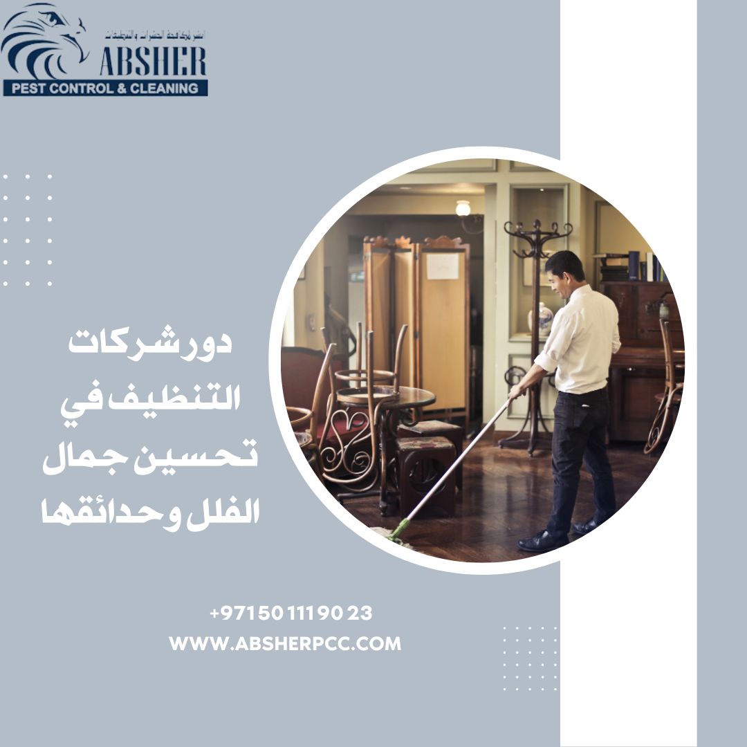 دور شركات التنظيف في إبراز جمال الفلل وحدائقها