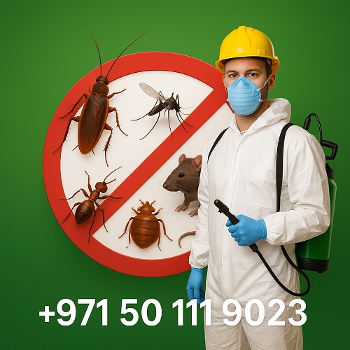 شركة مكافحة الحشرات في الخالدية