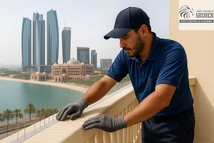 صيد الحمام في ابوظبي